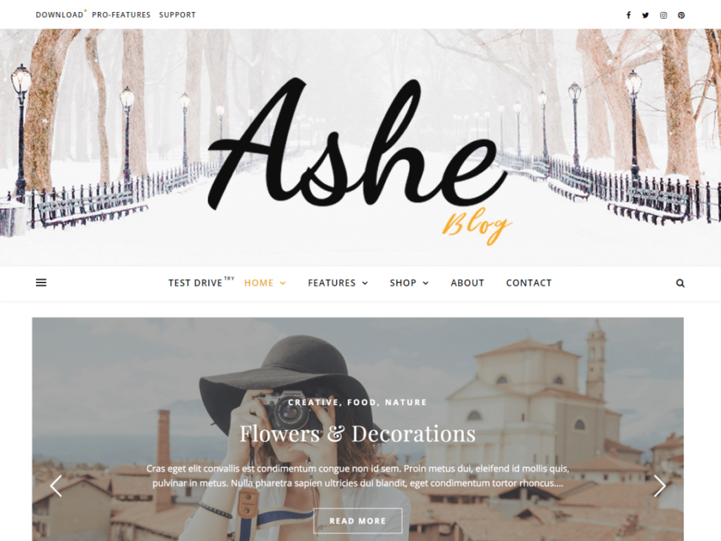 Ashe - Free WordPress Theme