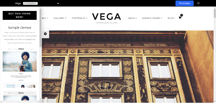 Vega WordPress Theme