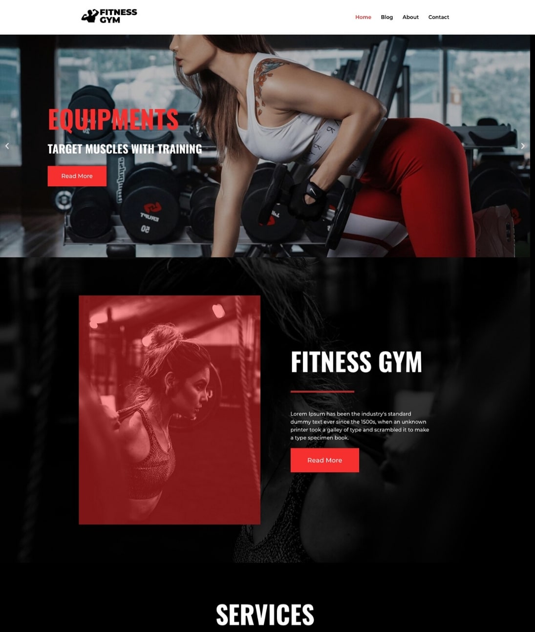 fitness WordPress theme