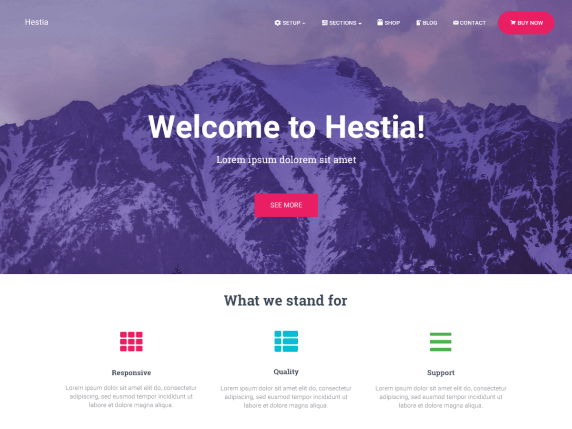 Hestia- WordPress theme