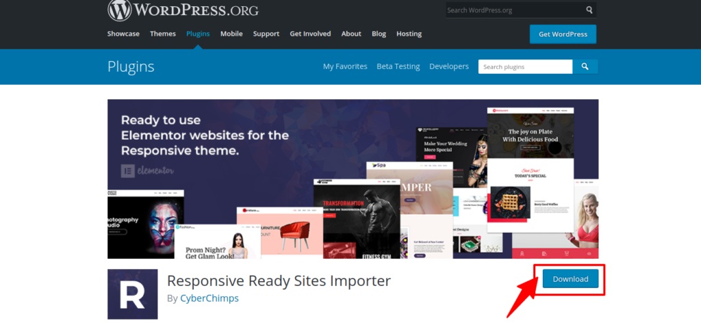 Download Responsive ready site importer