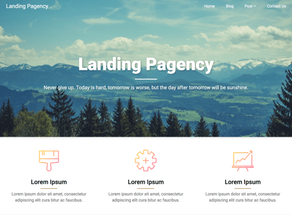 Landing Pagency- WordPress theme
