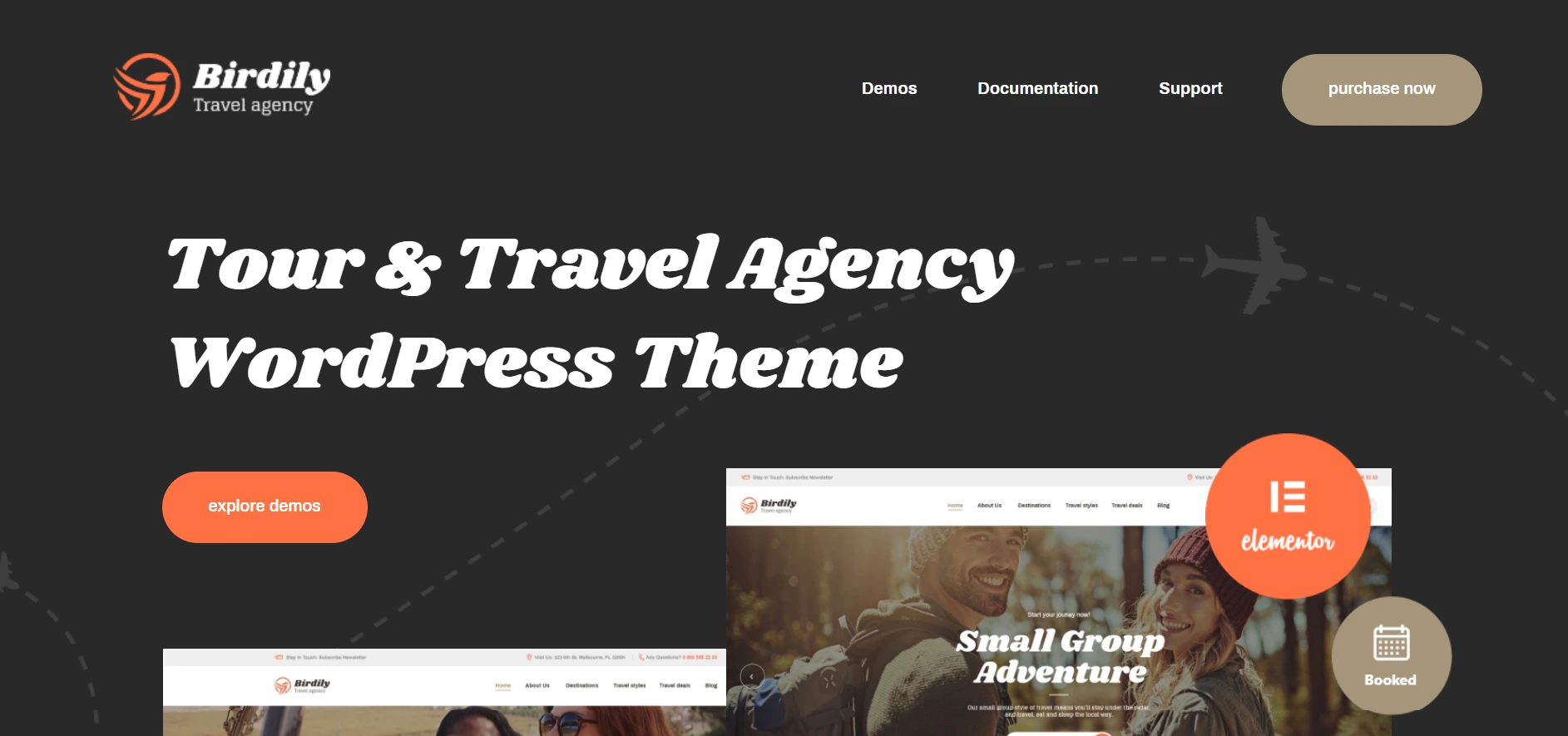 Birdily WordPress Travel Agency Themes