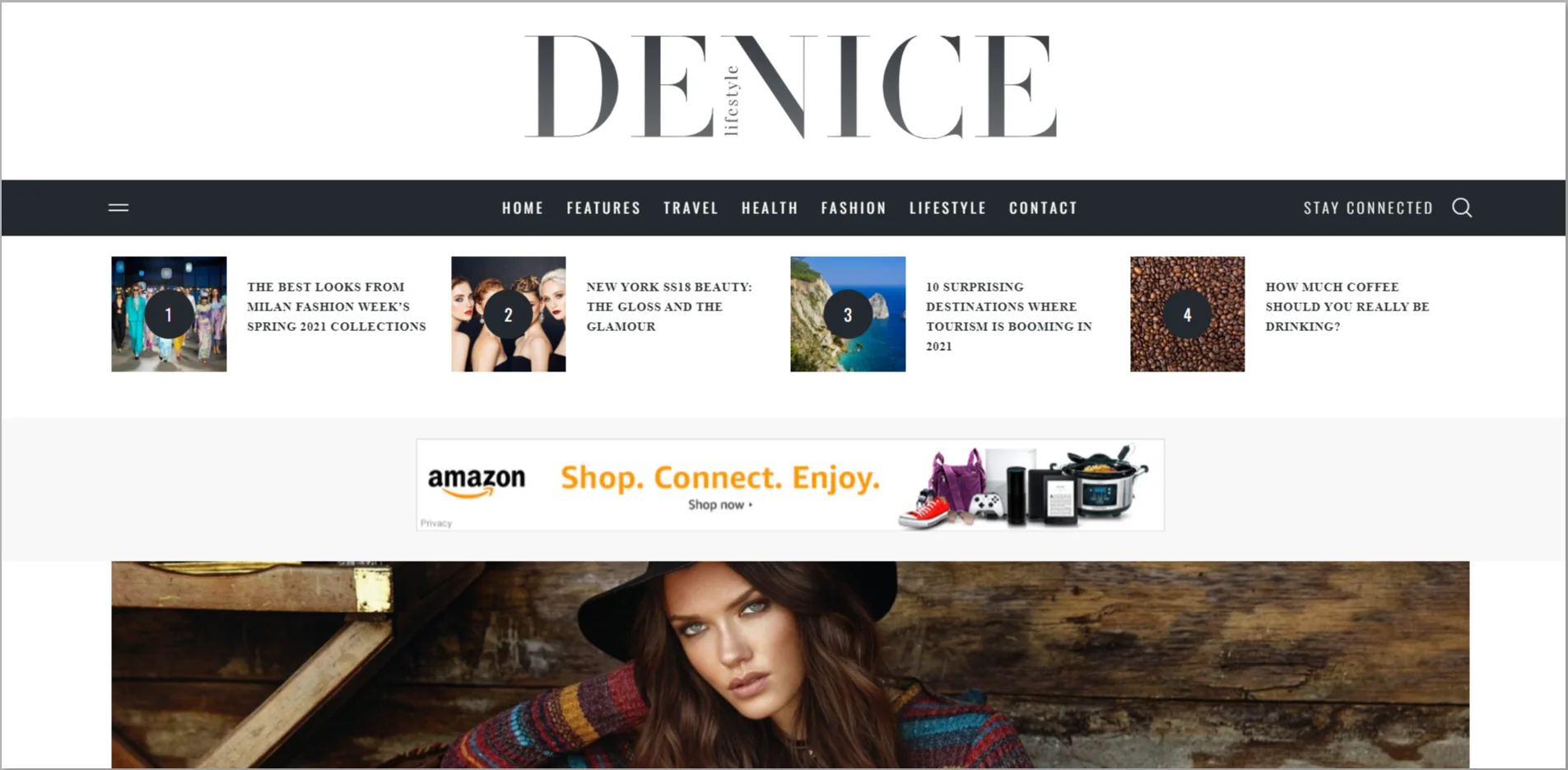 Denice WordPress Theme