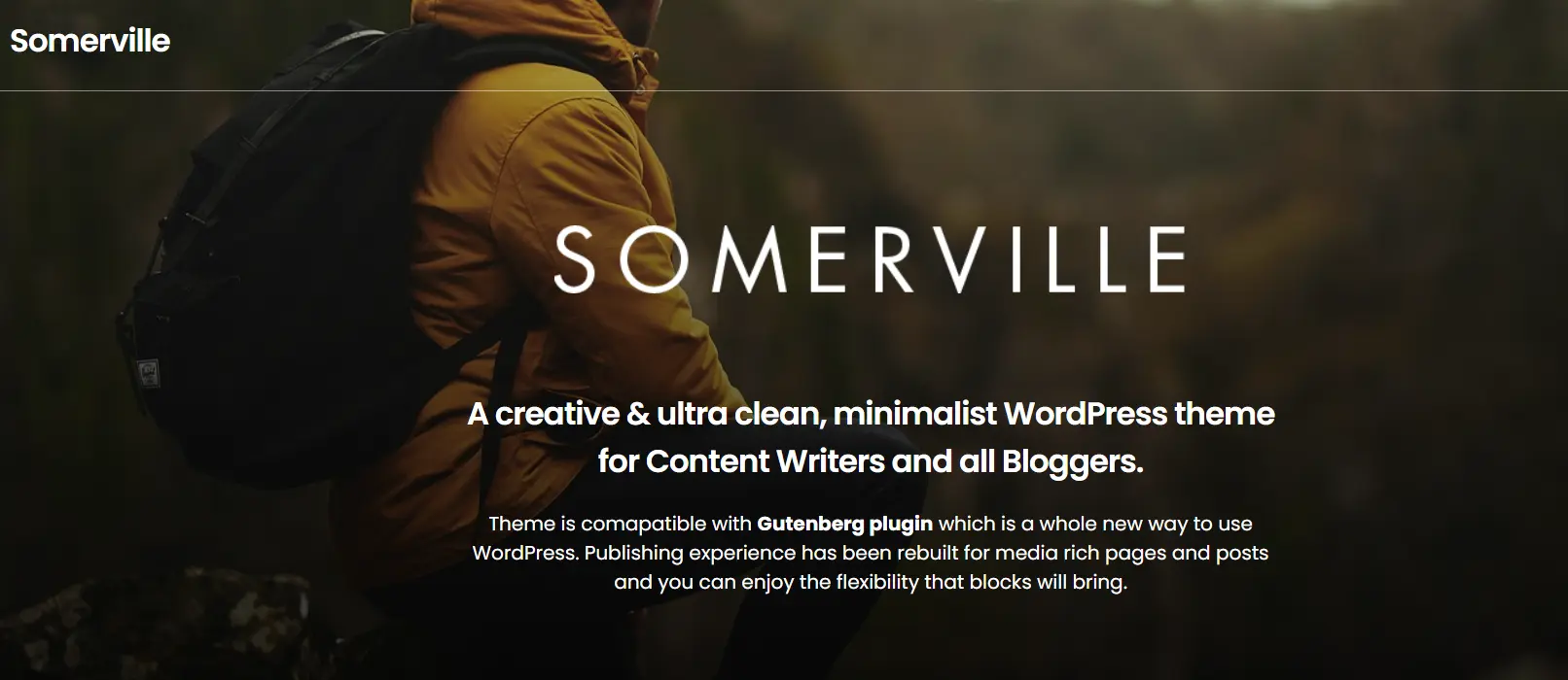 Somerville WordPress Themes for Writers