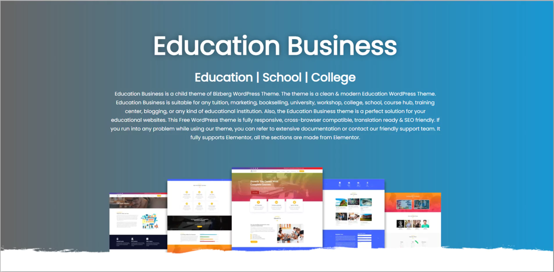 Education Business theme